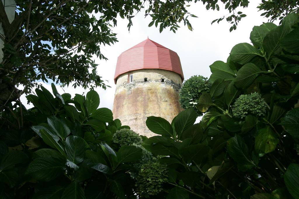 O Moinho Da Bibi Villa Candelária Exterior foto